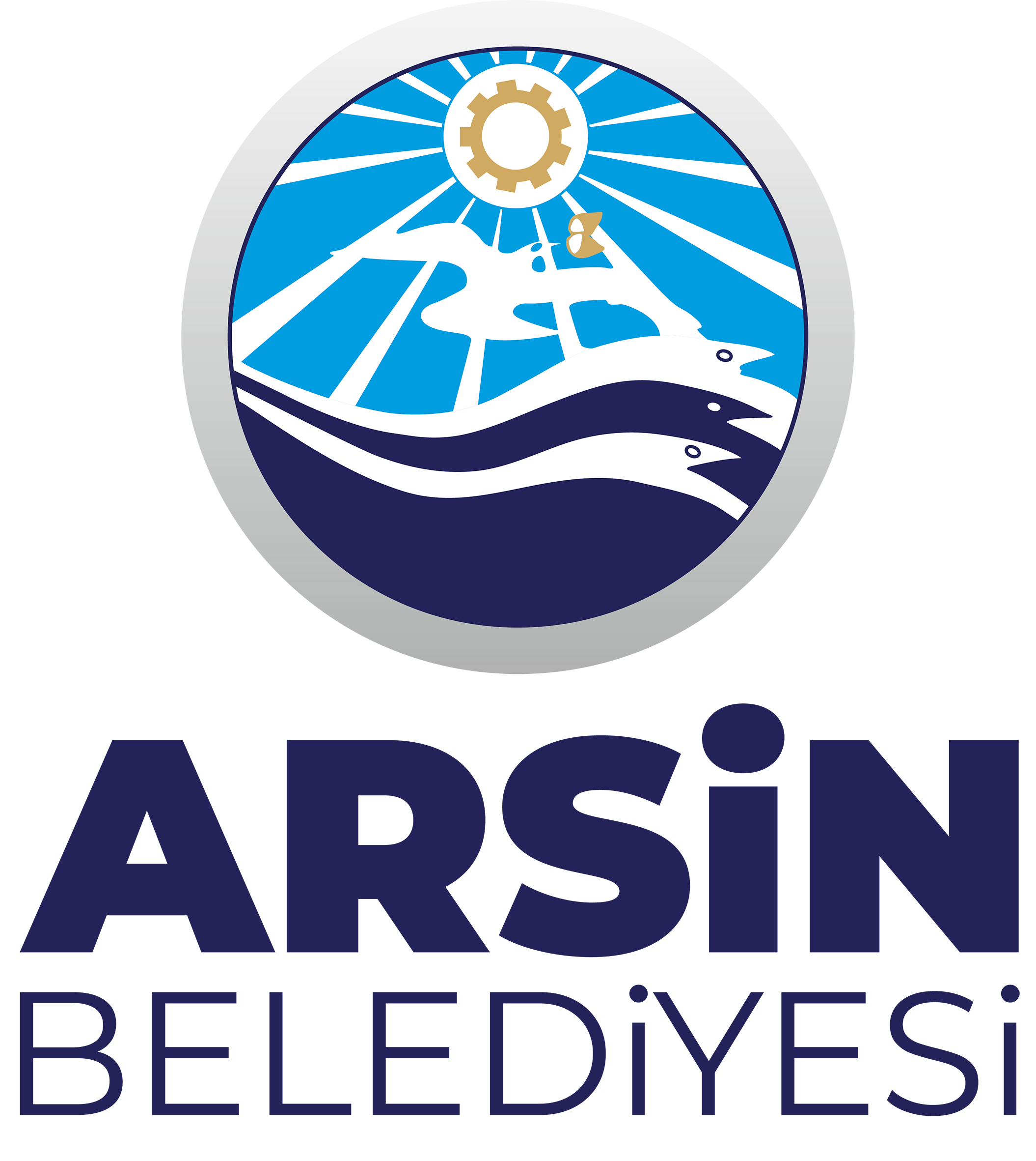 Arsin Belediyesi